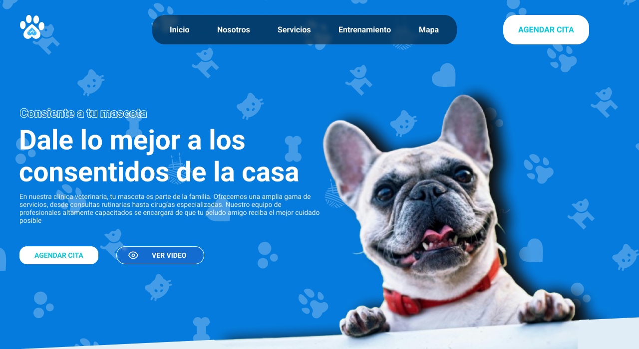 Diseño de sitio web para veterinaria en Ecuador